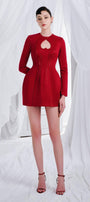 Remy A-line Round Neck Organdy Mini Dress - MEAN BLVD