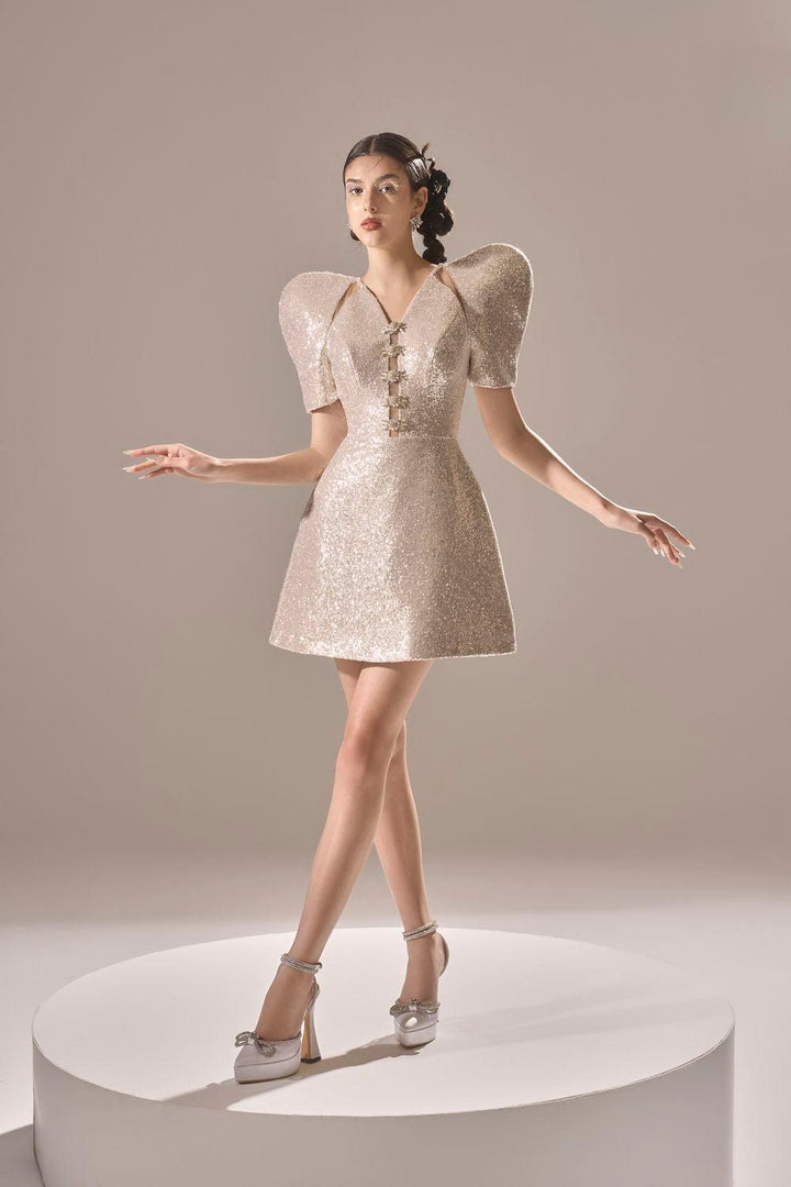 Rosamia A-line V-Neck Sequin Mini Dress - MEAN BLVD