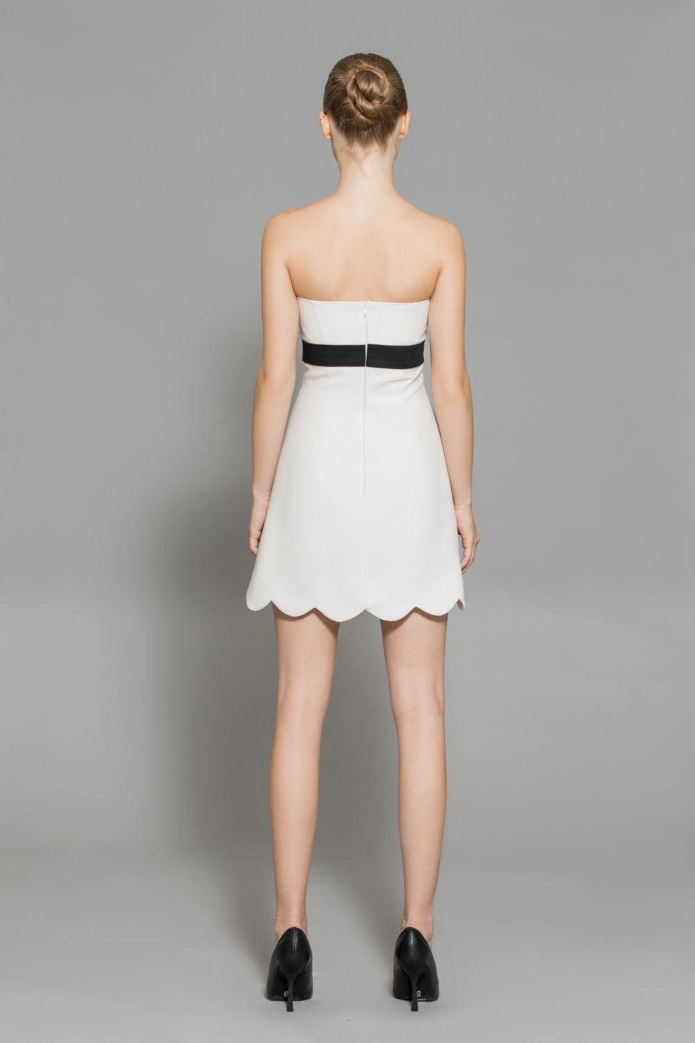 Scout A-line Back Zipper Wool Mini Dress - MEAN BLVD