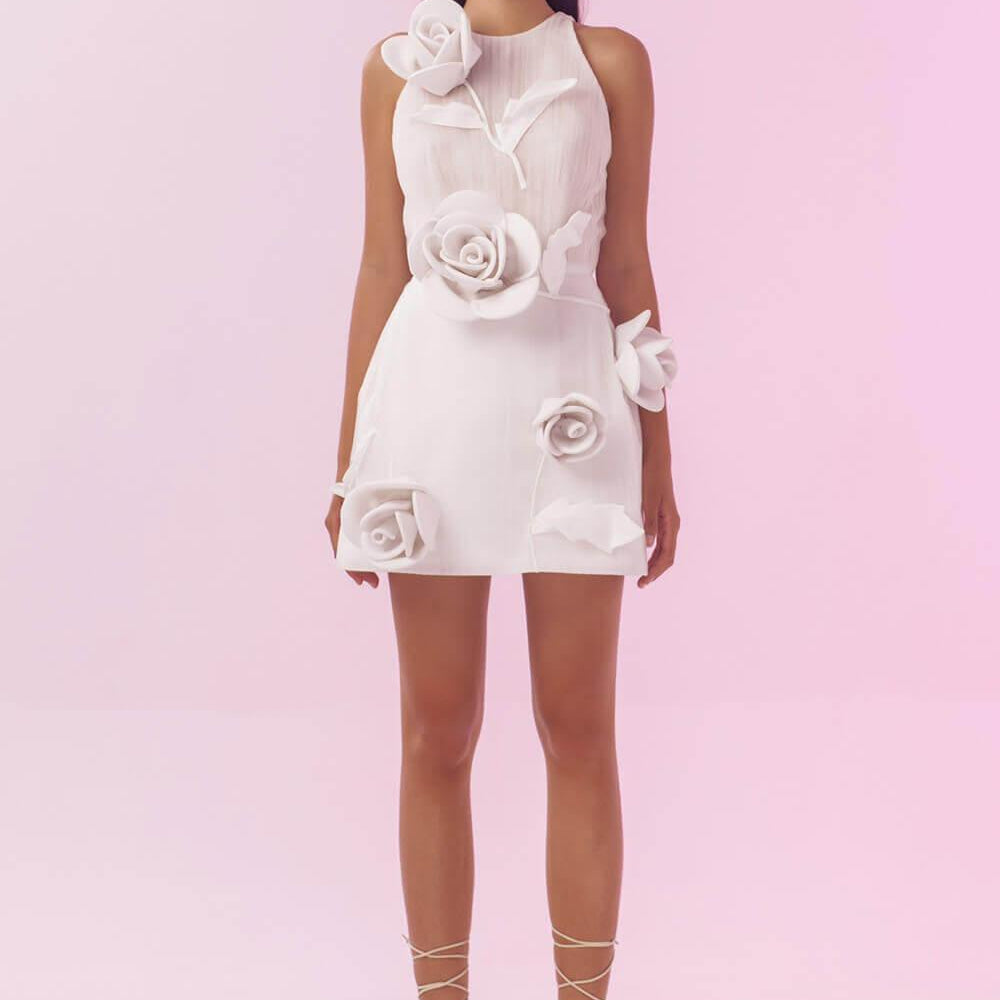 Siren A-line Flower Applique Mesh Sheer Mini Dress - MEAN BLVD