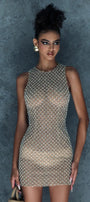 Stygian Bodycon Round Neck Mesh Mini Dress - MEAN BLVD