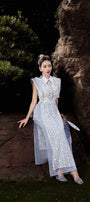 Tam Dan A-line Collared Neck Mesh Lace Floor Length Ao Dai - MEAN BLVD