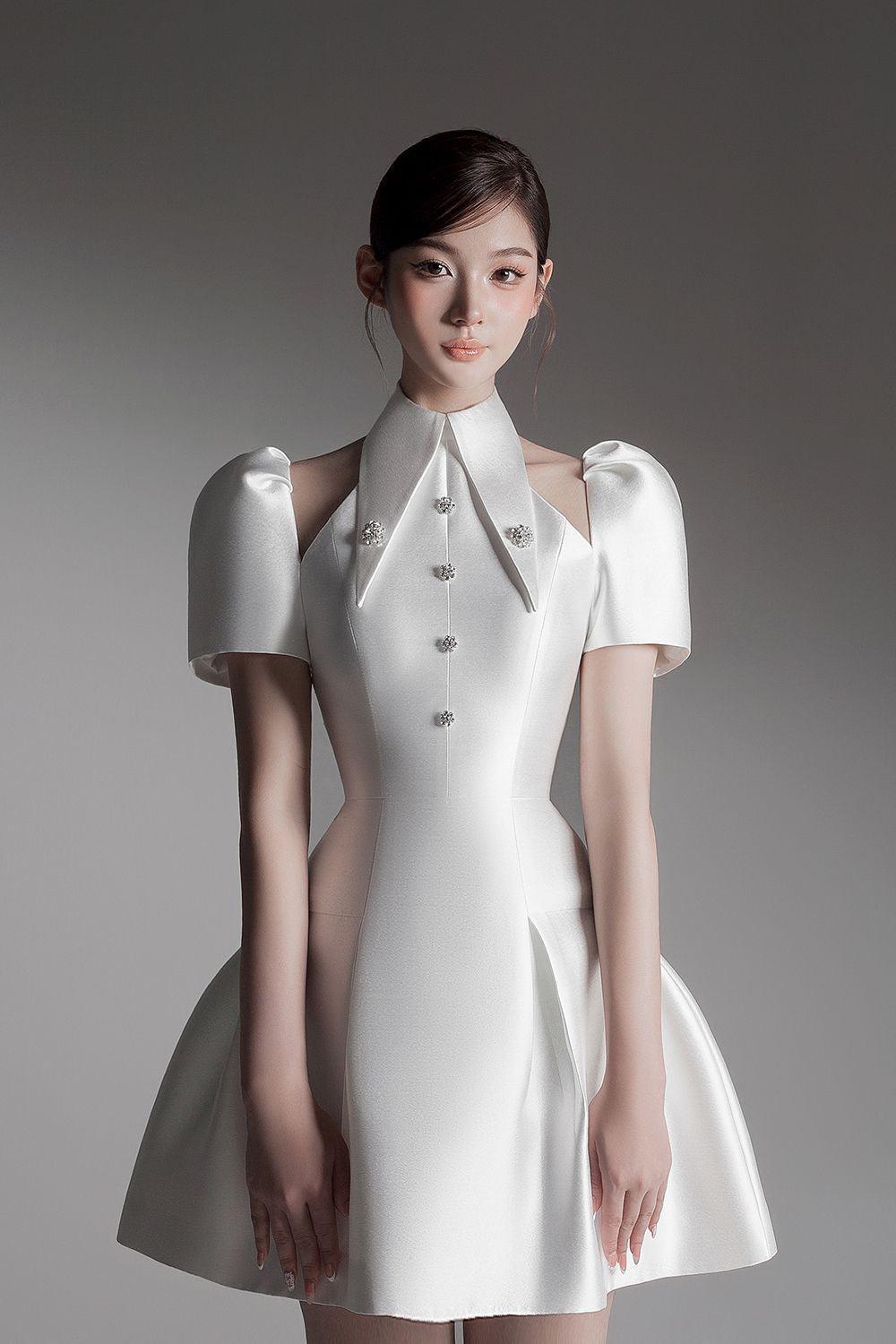 Thy Fit and Flare Puffy Sleeved Taffeta Mini Dress - MEAN BLVD