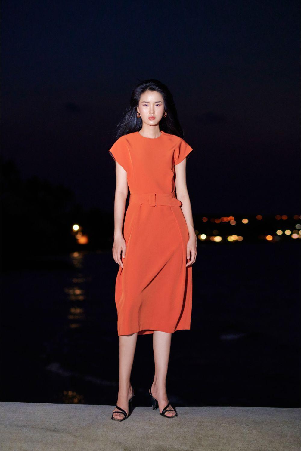 Ellie Trapeze Dress MEAN BLVD