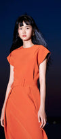 Ellie Trapeze Dress MEAN BLVD