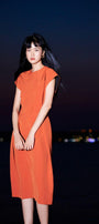Ellie Trapeze Dress MEAN BLVD