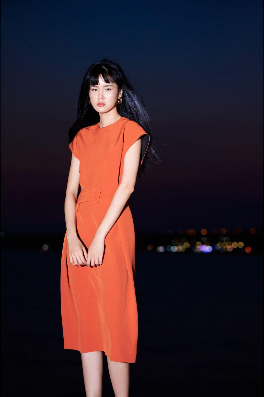 Ellie Trapeze Dress MEAN BLVD