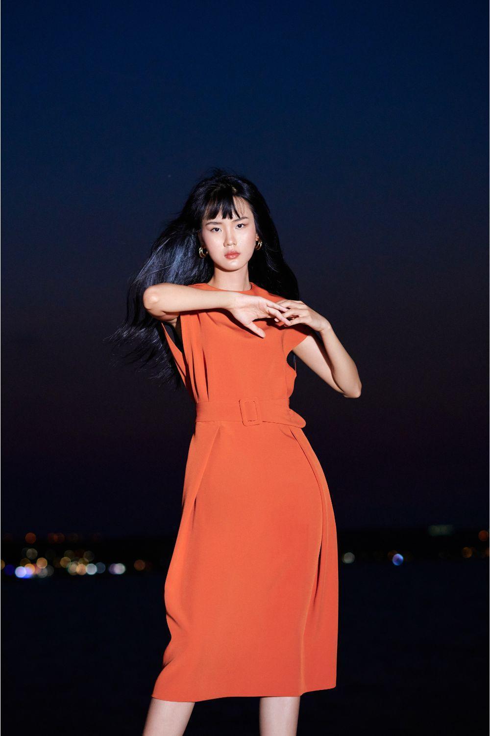 Ellie Trapeze Dress MEAN BLVD