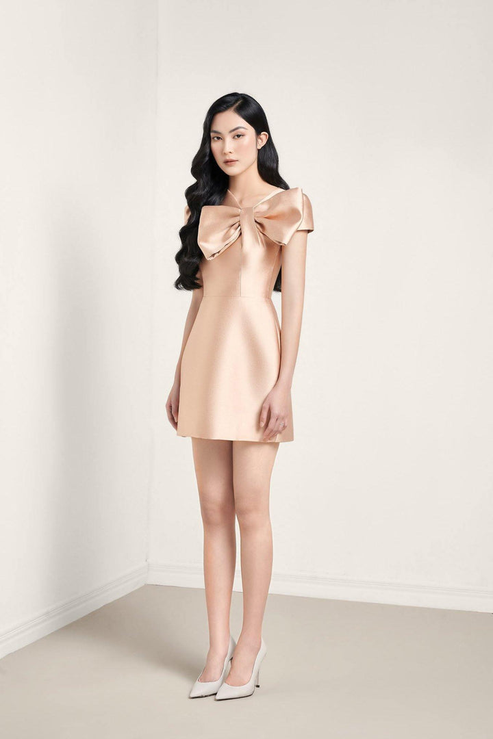 Larme Mini Dress MEAN BLVD