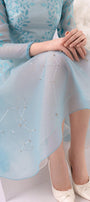 Pale A-line Round Neck Organza Midi Dress MEAN BLVD