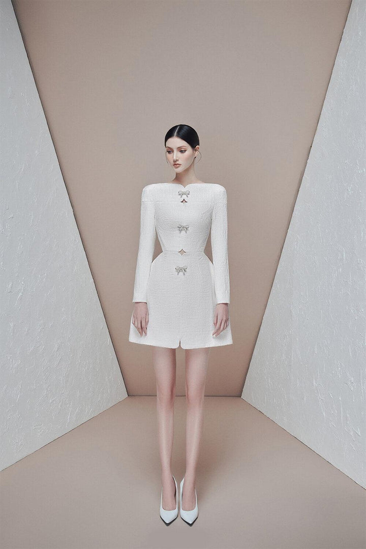 Patrina A-line Long Sleeved Jacquard Mini Dress MEAN BLVD