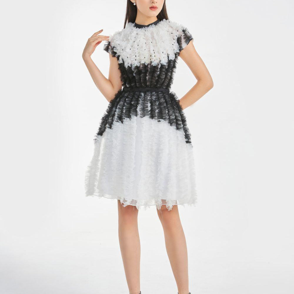 Women's Rihanna Fit and Flare Round Neck Organza Knee-length Dress XS/S/M/L/XL Black and White MEAN BLVD Customize / Black and White Women's Rihanna Fit and Flare Round Neck Organza Knee-length Dress XS/S/M/L/XL Black and White MEAN BLVD Customize / Black and White