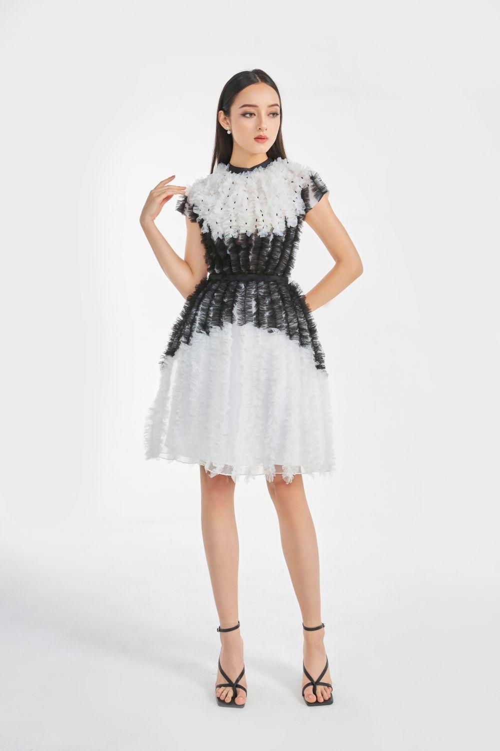 Women's Rihanna Fit and Flare Round Neck Organza Knee-Length Dress XS/S/M/L/XL Black and White Mean Blvd Customize / Black and White
